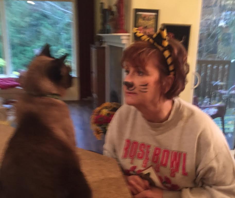 siamese cat and woman with cat ears and cat make-up