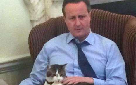 former prime minister David Cameron and Larry the 10 downing street cat