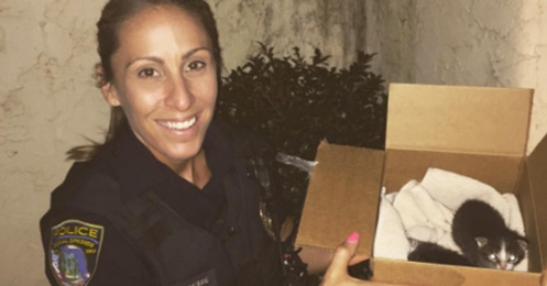 policewoman rescues kittens and cats