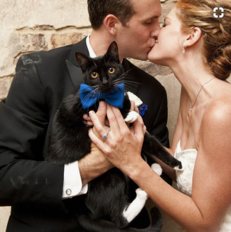 bride and groom with black and white cat with blue bow tie