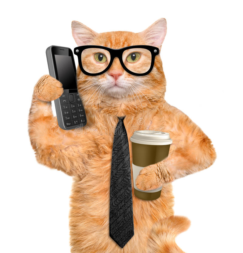 cat on smart phone with coffee